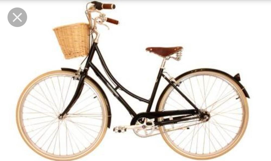 Papillionaire sommer online bike price