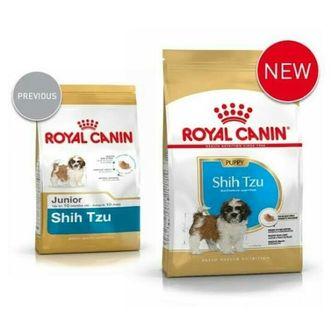 Shih Tzu Puppy View All Shih Tzu Puppy Ads In Carousell Philippines