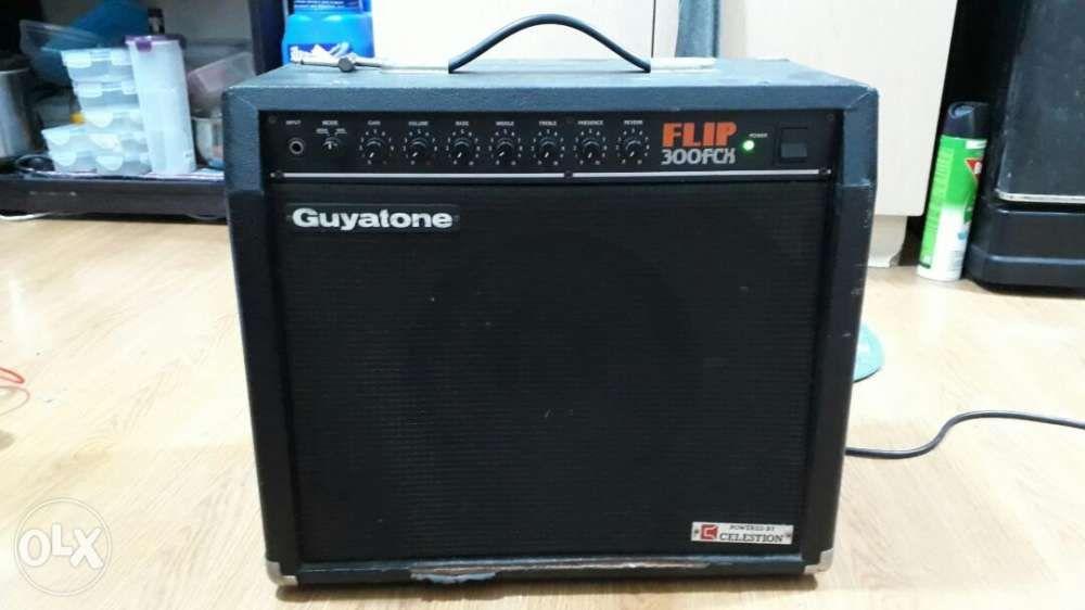 Guyatone Flip 300 FCX tube amplifier, Hobbies  Toys, Music  Media, CDs   DVDs on Carousell