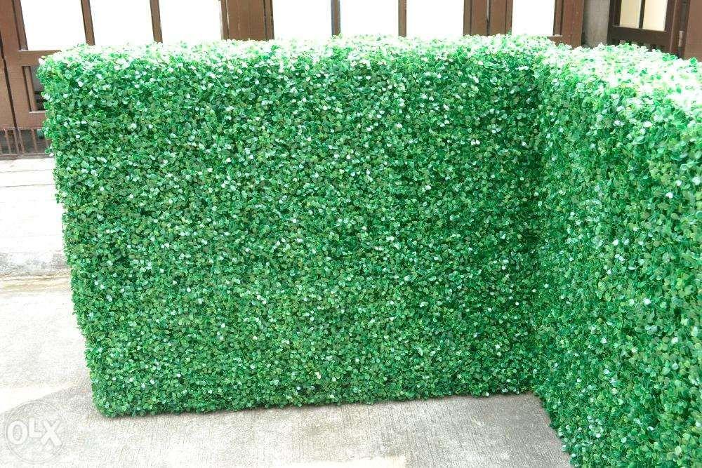 Artificial Hedge 4x3x1 ft tea leaves, Furniture & Home Living, Home