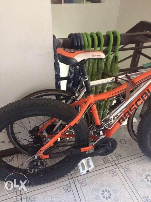 olx fat bike