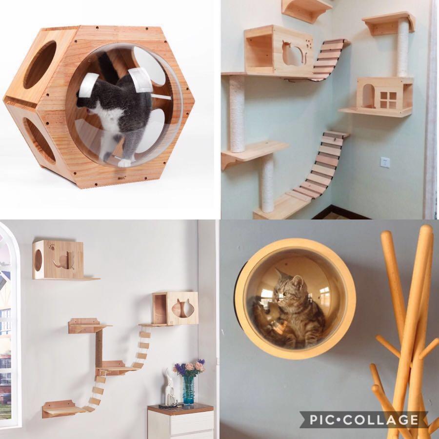 cat wall condo