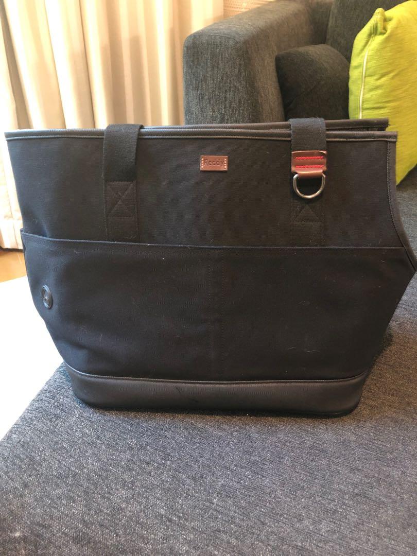 nylabone galileo souper