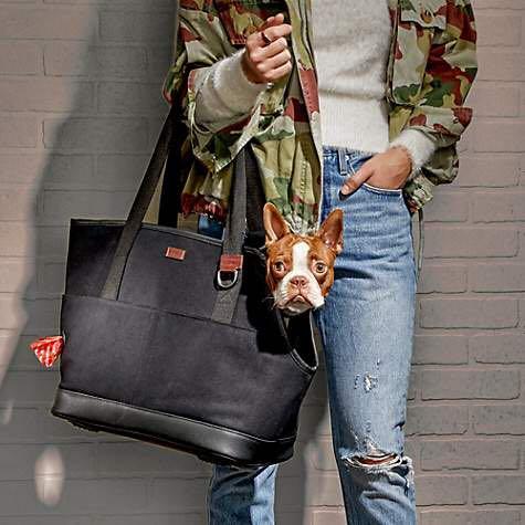 Reddy camo canvas dog carrier tote outlet