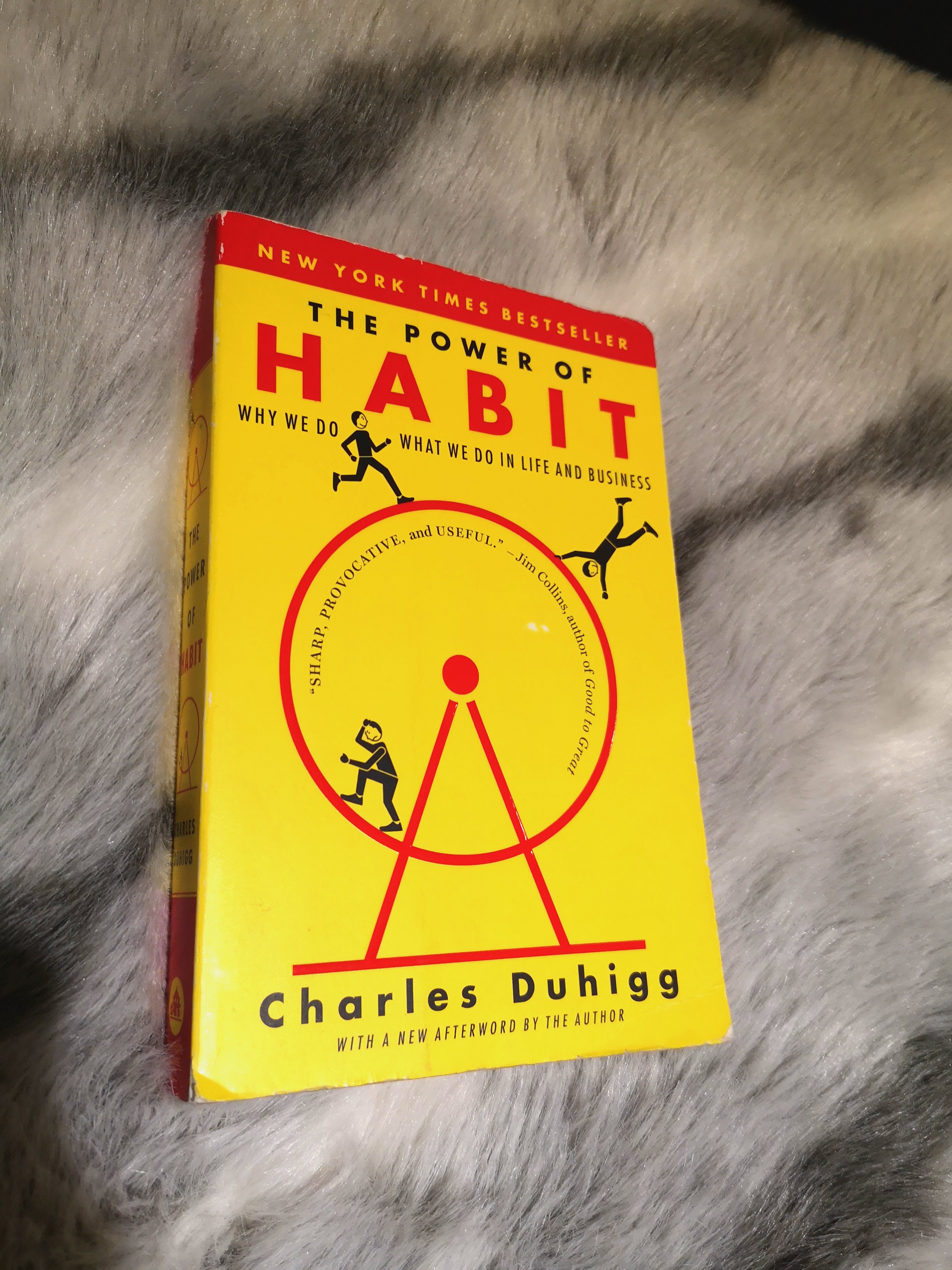 The Power of habit by Charles Duhigg