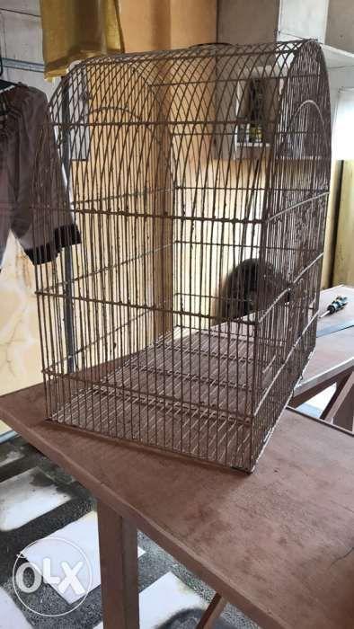 bird cage for sale olx