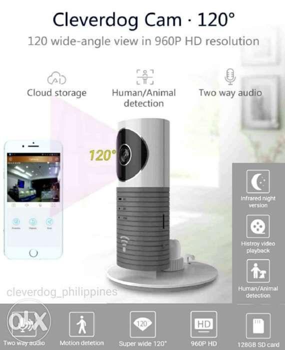 clever dog cloud storage