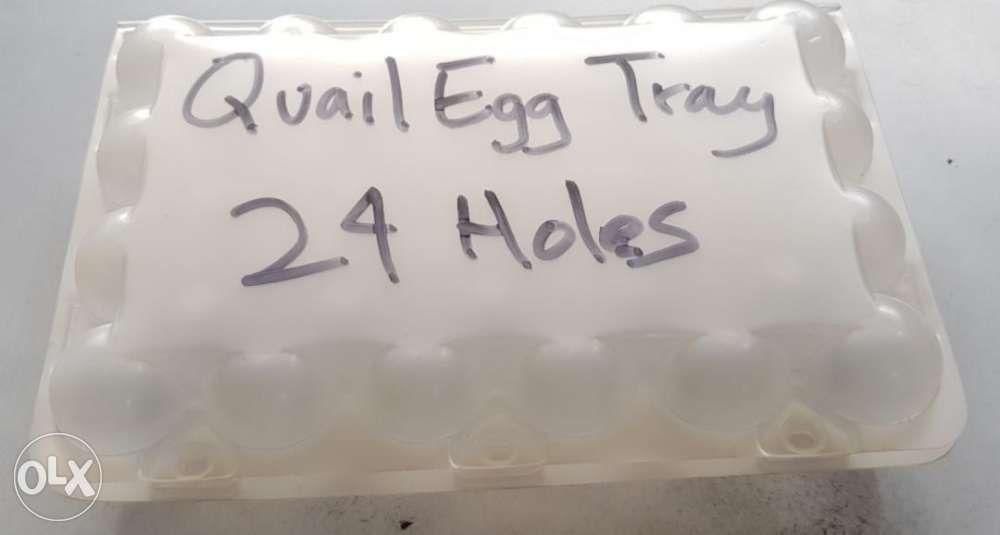 Plastic Egg Tray transparent and Quail Egg Tray CEBU CITY, Furniture