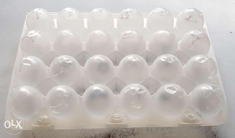 Plastic Egg Tray transparent and Quail Egg Tray CEBU CITY, Furniture