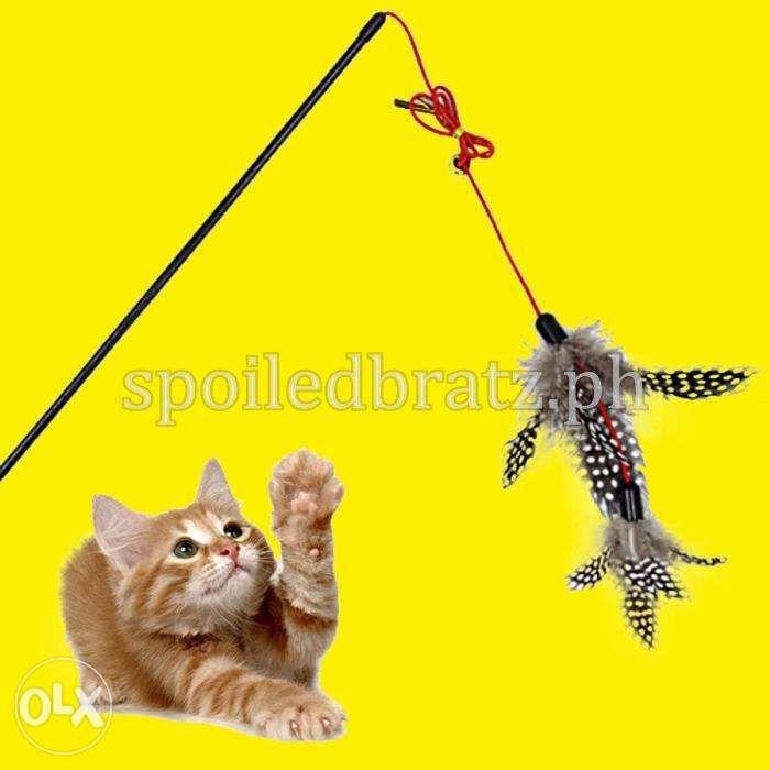 cat accessories olx