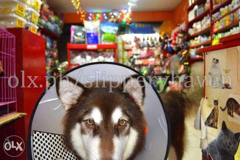 Pet Supplies Accessory for Siberian Husky Alaskan Malamute Rottweiler