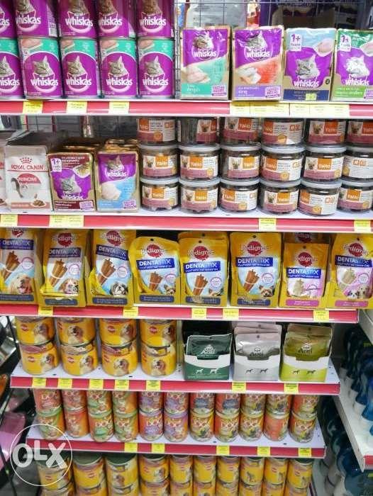 pet store accessories