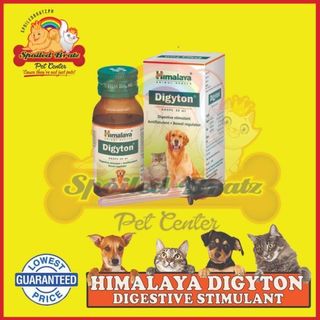 Himalaya Digyton for Digestion n Gastrointestinal Health of Dogs