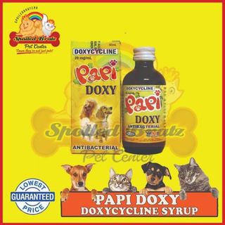 Papi Doxy Doxycycline Antibacterial Syrup for Pets LOWEST PRICE