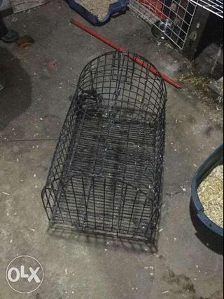 cat cage olx