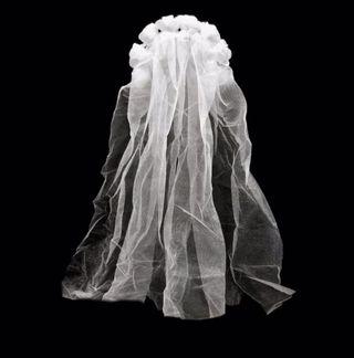 Bridal Shower Veil