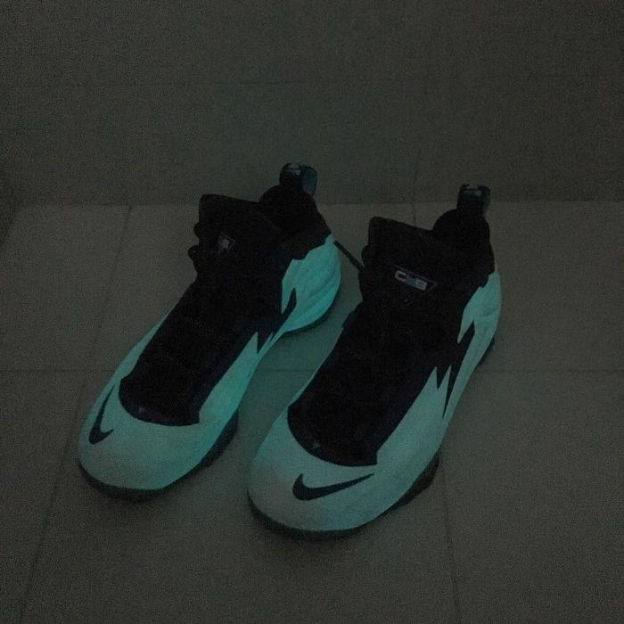 barkley chuck posite