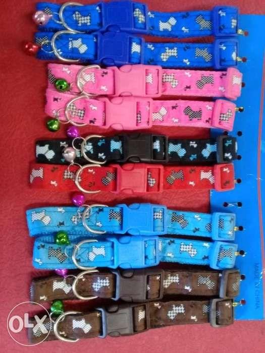 dog belt olx