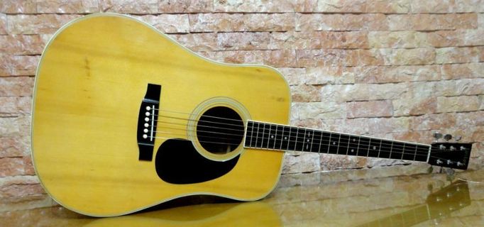 CATS EYES CE 200 Acoustic Guitar