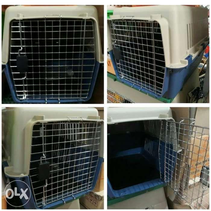 pet transport crate