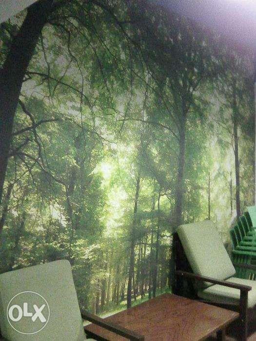 Wallpaper Installer, Furniture & Home Living, Home Improvement