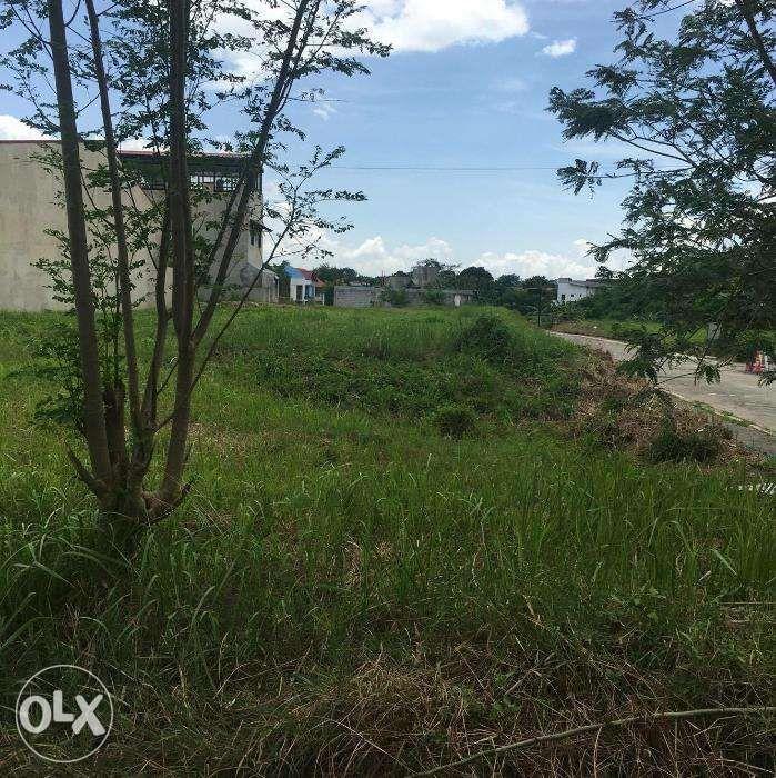 (Category: ) located in . Submitted by roy.ferrer (Listing ID 238796387, Image 1). Description: .