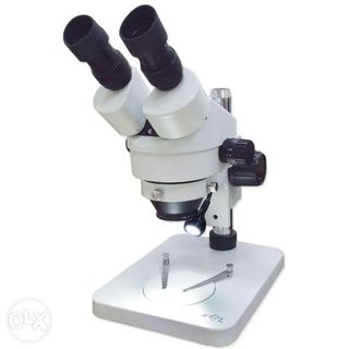 Microscope for Dissection