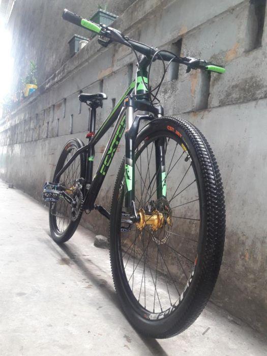 foxter evans 3.0 29er