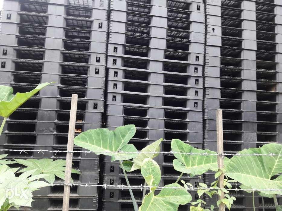 plastic pallet light medium heavy duty (Category: Construction & Building Materials) located in Quezon City. Submitted by Dr.Pallet (Listing ID 238863860, Image 2). Description: we supply plastic pallet in good conditions.. 43x43 light 31x47 medium 47x47 heavy good for storage and warehouse for export or shipping what you see is what you get.. used but not abuse.. for more details and inquiries call or txt 09260643740 for faster transactions than