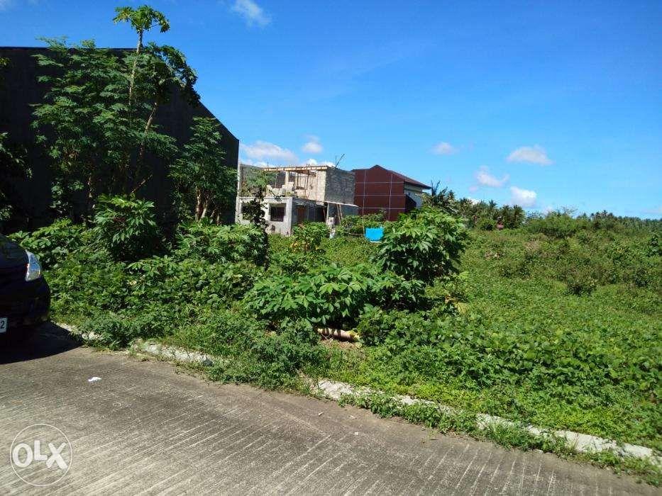 Lot For Sale In Carmenville Subd Brgy Wakas Tayabas Quezon, Property, For Sale, Lot on Carousell