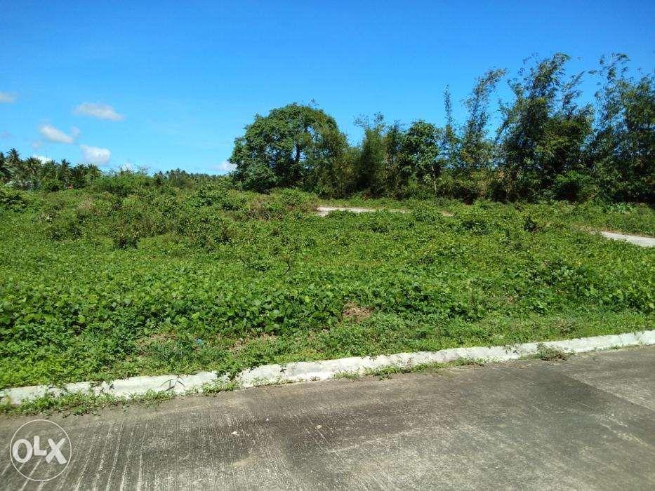 Lot For Sale In Carmenville Subd Brgy Wakas Tayabas Quezon, Property