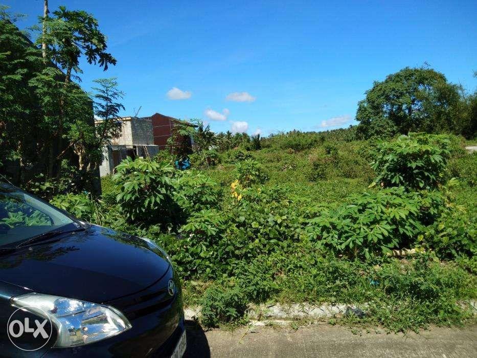 Lot For Sale In Carmenville Subd Brgy Wakas Tayabas Quezon, Property