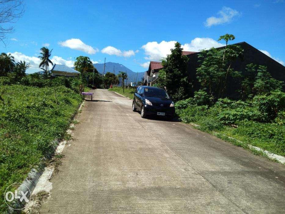 Lot For Sale In Carmenville Subd Brgy Wakas Tayabas Quezon, Property