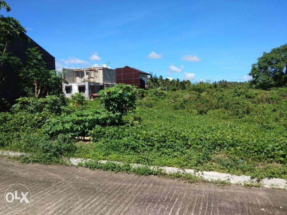 Lot For Sale In Carmenville Subd Brgy Wakas Tayabas Quezon, Property