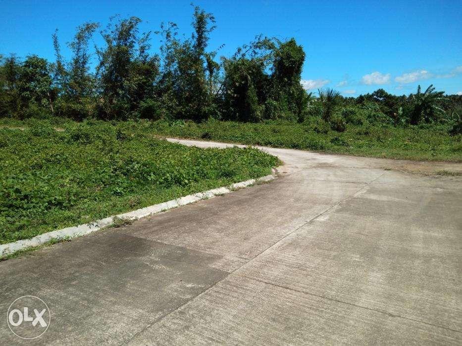 Lot For Sale In Carmenville Subd Brgy Wakas Tayabas Quezon, Property