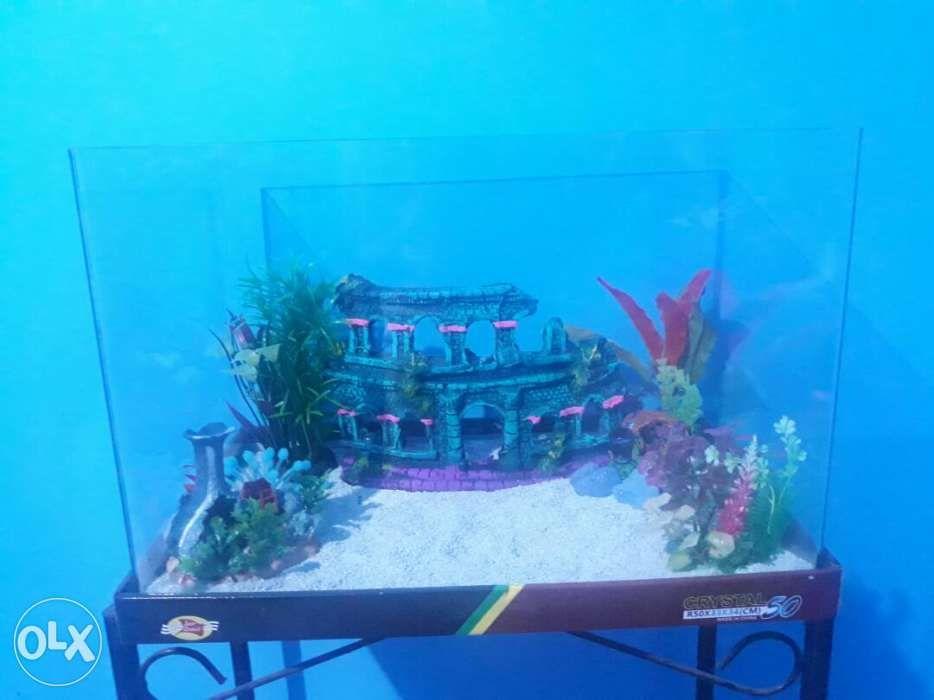 olx aquarium