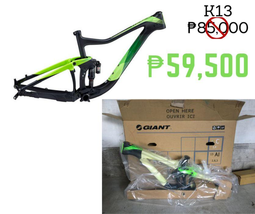 giant frame price