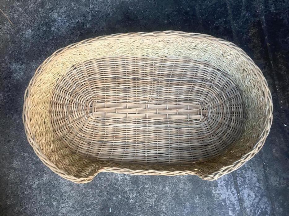 basket for baby photoshoot