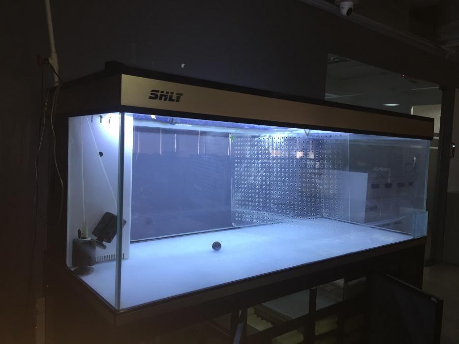 second hand aquarium, Pet Supplies, Homes  Other Pet Accessories on  Carousell