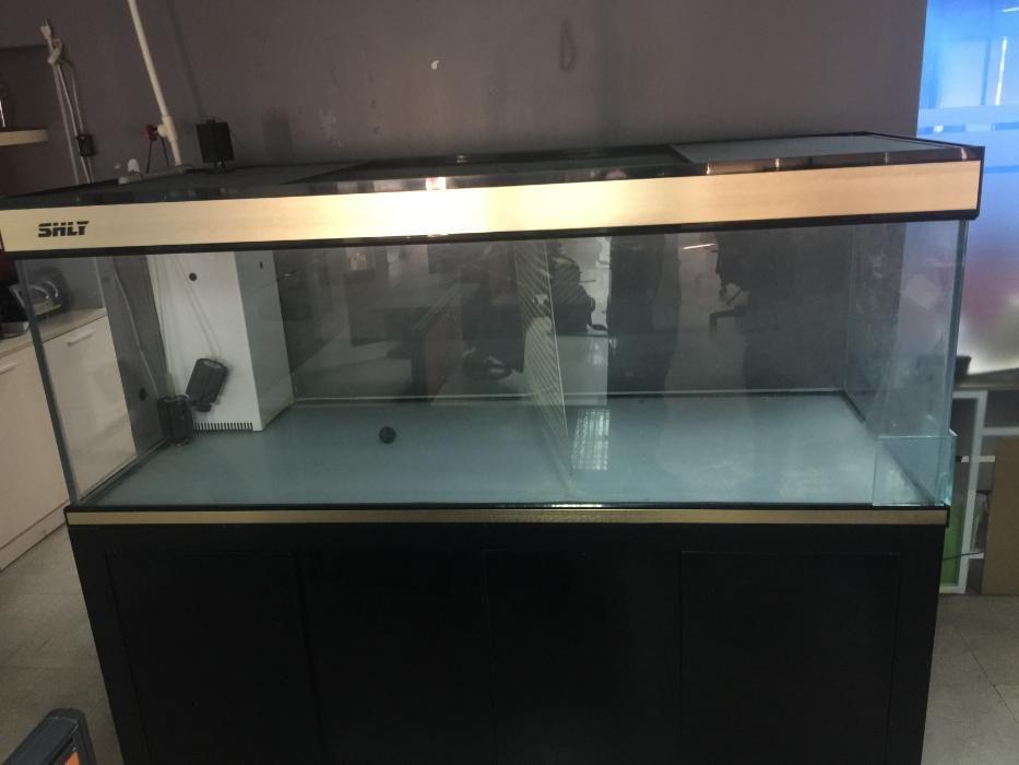 second hand aquarium, Pet Supplies, Homes & Other Pet Accessories on ...