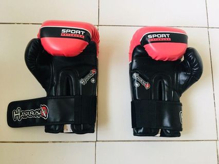 HAYABUSA boxing gloves