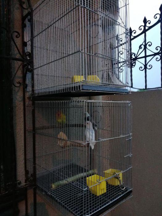 cpu type cage