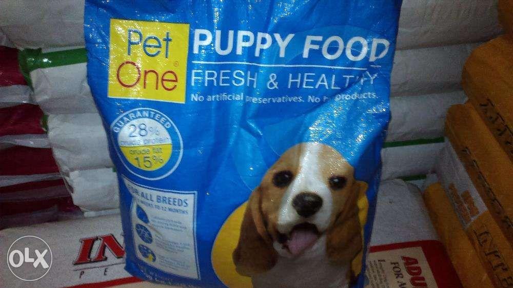 Olx dog cheap food