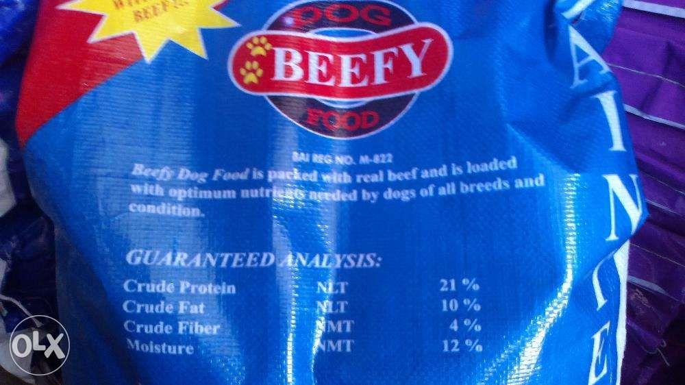 Beefy dog outlet food