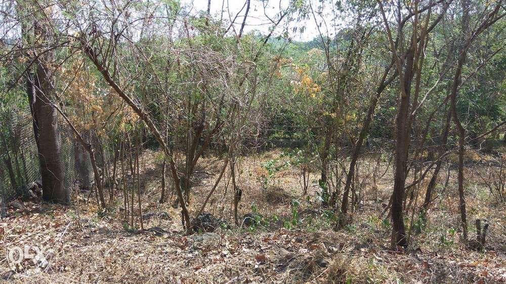2319 sqm farm lot for sale in Binangonan Rizal, Property, For Sale, Lot