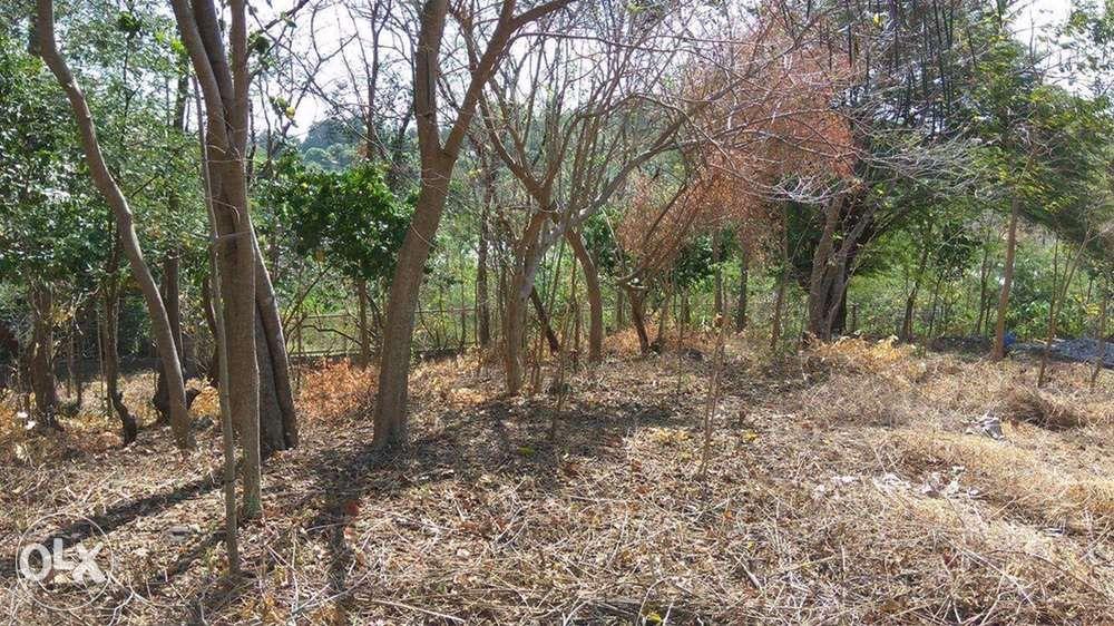 2319 sqm farm lot for sale in Binangonan Rizal, Property, For Sale, Lot