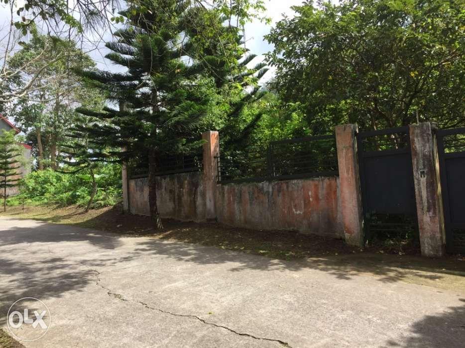 (Category: ) located in . Submitted by nette68 (Listing ID 239171422, Image 1). Description: .