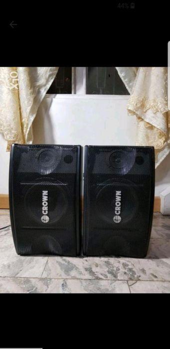 crown karaoke speaker