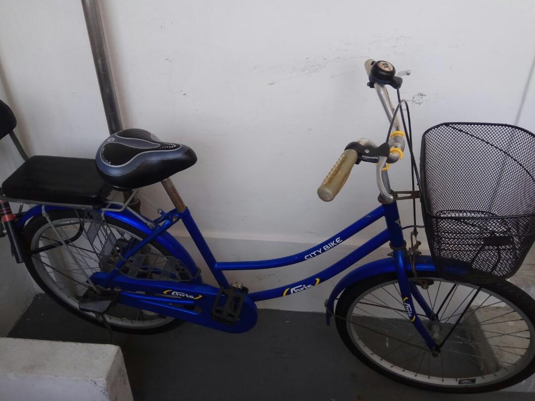 Lady Bicycle 24 With Child Seat Bicycles Pmds Bicycles Road