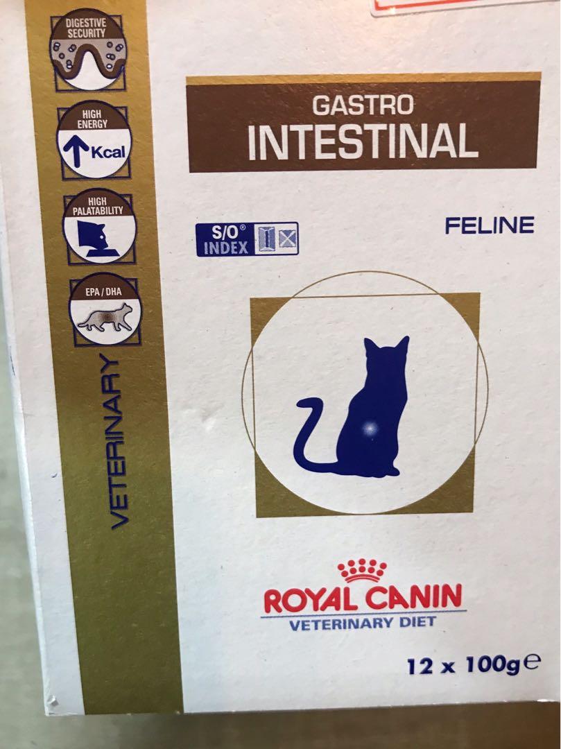 Royal Canin Wet Food Veterinary Diet Gastro Intestinal 12 X 100g Pet Supplies For Cats Cat Food On Carousell